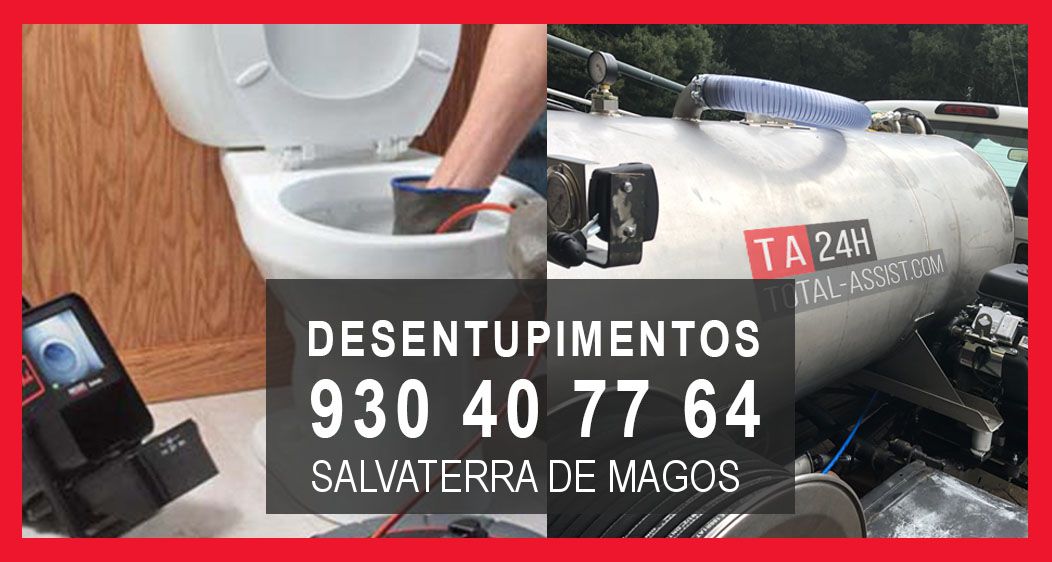 Desentupimentos Salvaterra de Magos